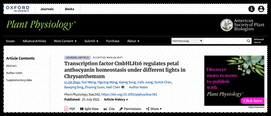 PP成人影院截图